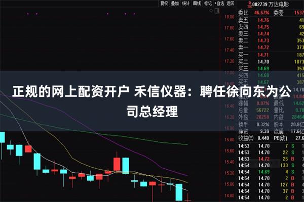 正规的网上配资开户 禾信仪器：聘任徐向东为公司总经理